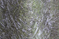 Lower Eythorne fibreglass roof work